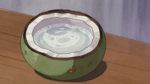 Fermented Toddy